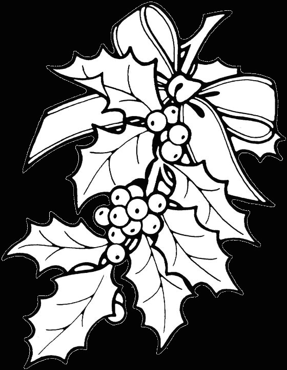 Mistletoe Drawing Easy Free Printable Coloring Page Mistletoe Pusat Hobi
