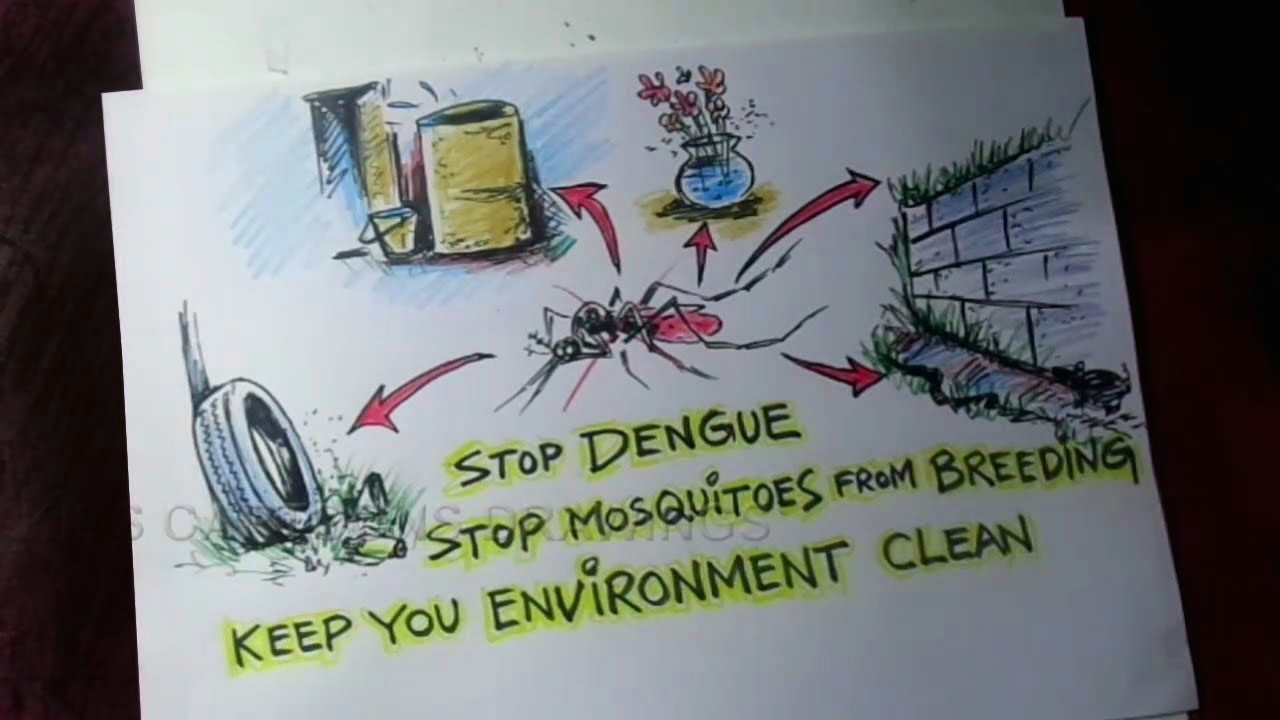 Mosquito Drawing Easy How to Draw Dengue Awareness Poster Drawing