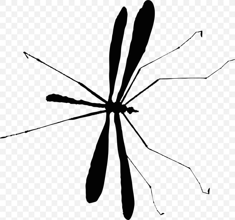 Mosquito Drawing Easy Mosquito Insect M 0d Black White Png 2129x1997px