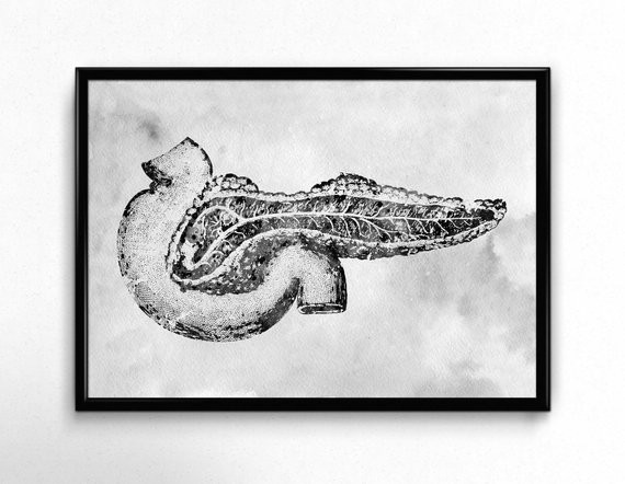 Pancreas Drawing Easy Pancreas Watercolor Print Human Anatomy Internal organs