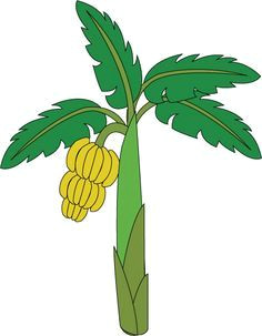 Papaya Tree Drawing Easy Pin by Vani On Nau Palm Tree Drawing Tree Drawing for