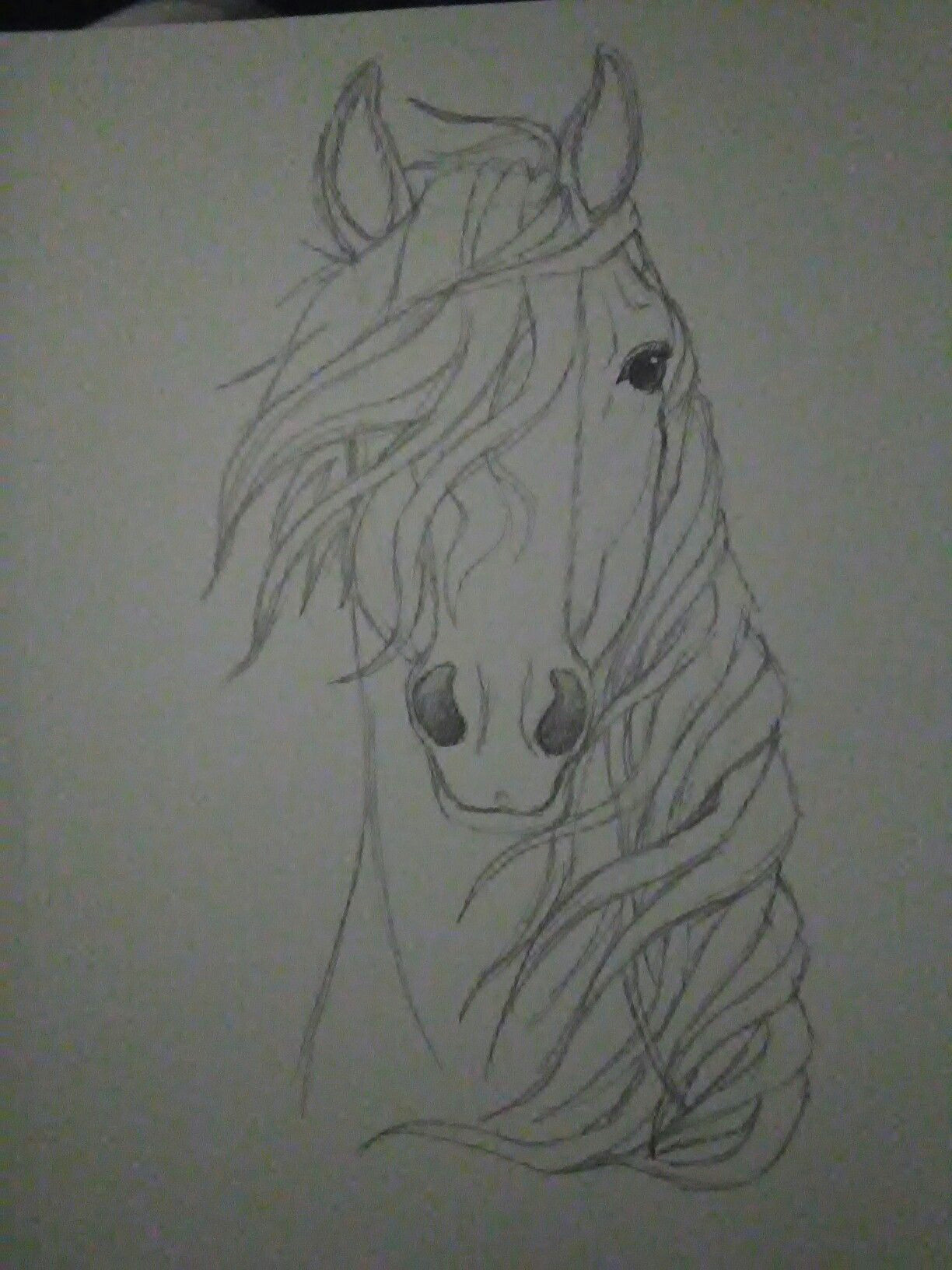 Pencil Easy Horse Drawing Insta Larabeatriiz Pinterest Larabeatriiz Horse