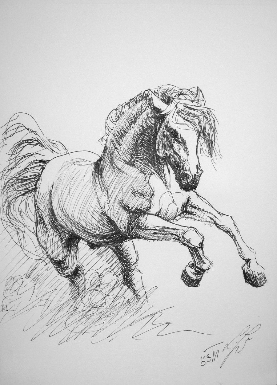 Pencil Easy Horse Drawing Pin On Horse Paintings Sculpture