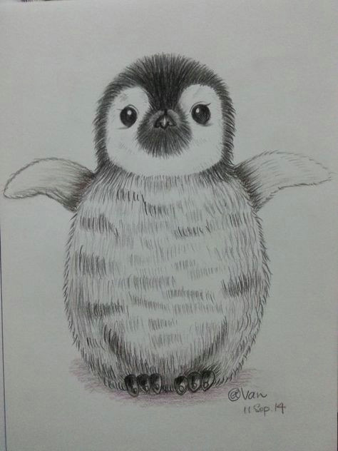 Penguin Easy Drawing Penguins Drawing Pinterest Hashtags Video and Accounts