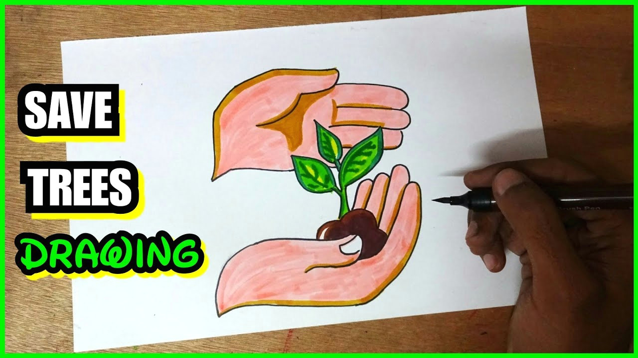 Plantation Drawing Easy How to Draw Save Trees Save Plants Cartoon Drawing Do Not