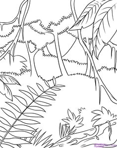 Rainforest Drawing Easy 14 Best Rainforest Unit Images Rainforest theme