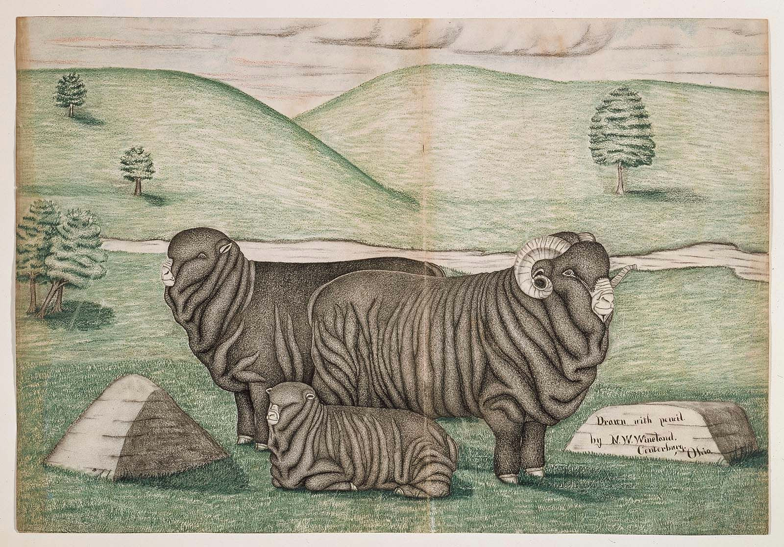 Ram Animal Drawing Folk Art Various Ram Ewe and Lamb In foreground Of