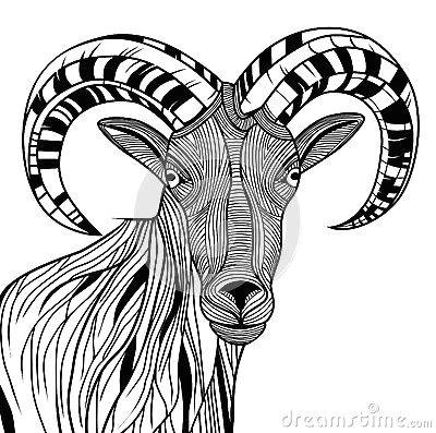 Ram Animal Drawing Ram Head by Svetap Via Dreamstime Animal Line Drawings In