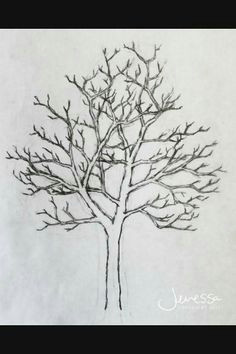 Redwood Tree Drawing Easy 1394 Best Pencil Tree Sketching Methods Images Pencil
