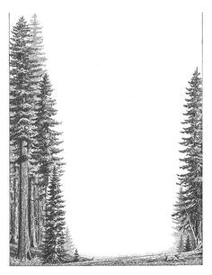 Redwood Tree Drawing Easy 28 Best Trees Images Redwood Tattoo forest Tattoos