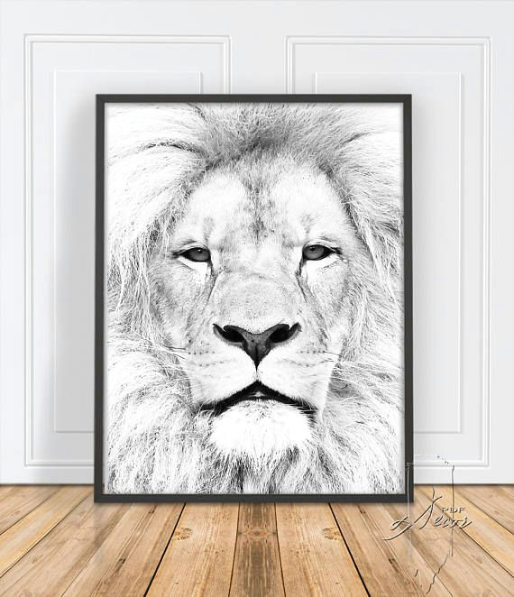 Safari Animal Drawings Lion Print Animal Wall Art Art Printable Animal Lion Art