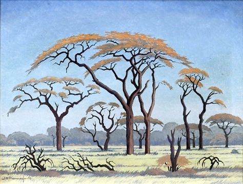 Savanna Drawing Easy Jh Pierneef Acacia Trees In the Veld 1954 south African