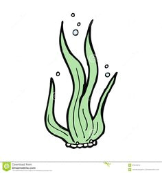 Seaweed Drawing Easy 16 Best Images Seaweed Images Seaweed Clip Art Grass