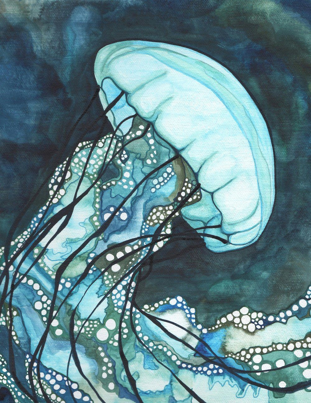 Seaweed Drawing Easy Aqua Jellyfish Print Of Watercolour Artwork In Dark