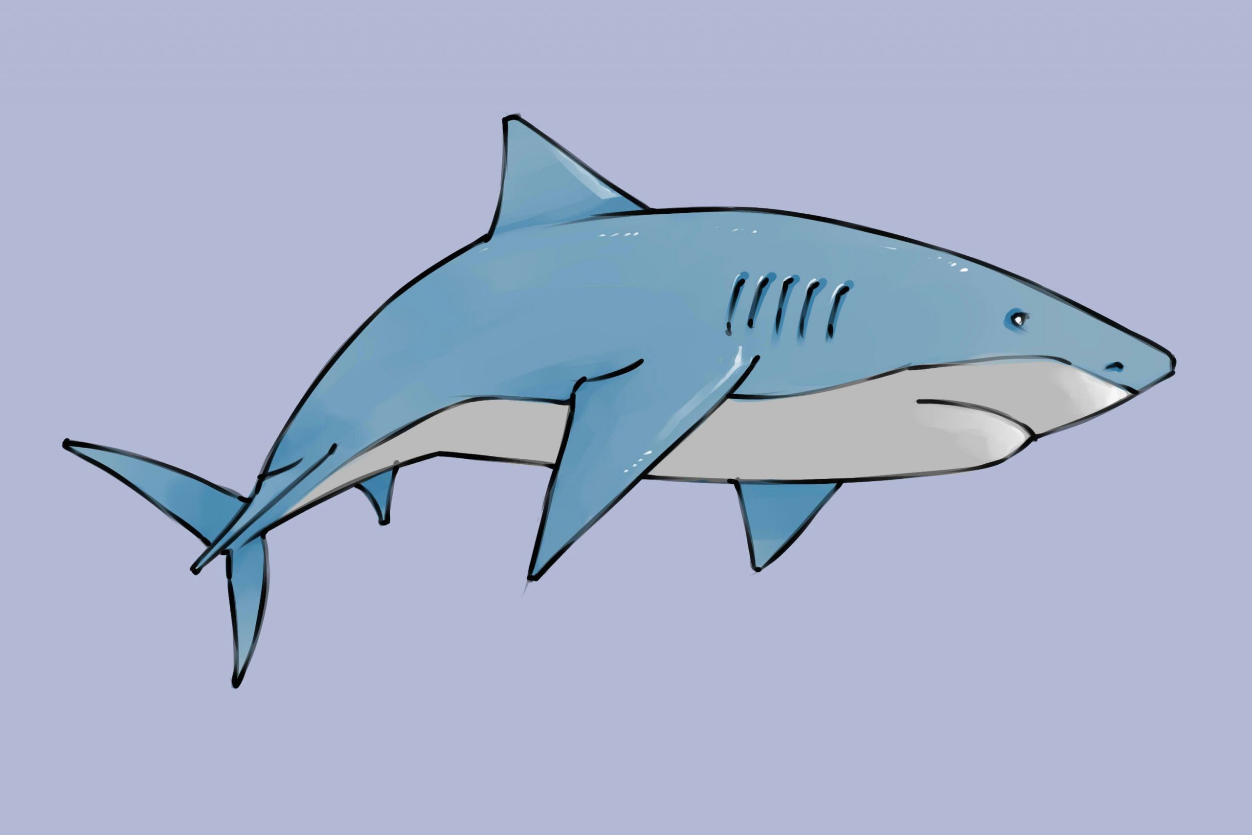 Shark Easy Drawing Draw A Shark Animal Drawings Cute Shark Shark Background