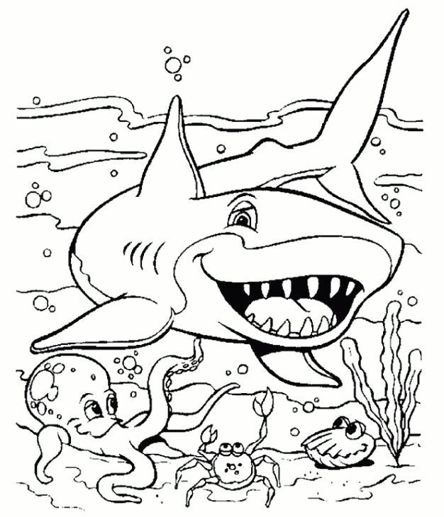Shark Easy Drawing Lovely Coloring Pages Shark Easy Picolour