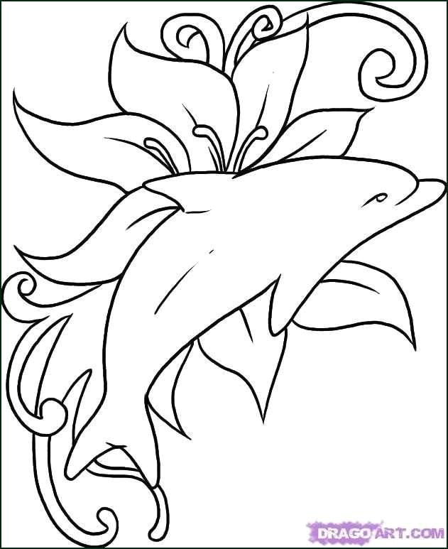 Shark Easy Drawing Lovely Coloring Pages Shark Easy Picolour