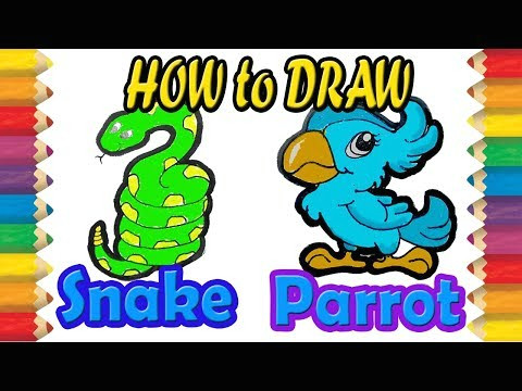 Snake Drawing Easy Step by Step Easy Drawing How to Draw Parrot and Snake Animals