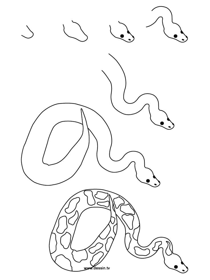 Snake Drawing Easy Step by Step Not too Different Than What I Would Have Did but You Can