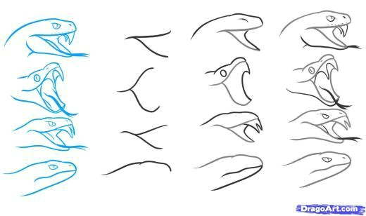 Snake Drawing Easy Step by Step Step 4 How to Draw A Snake Head Draw Snake Heads