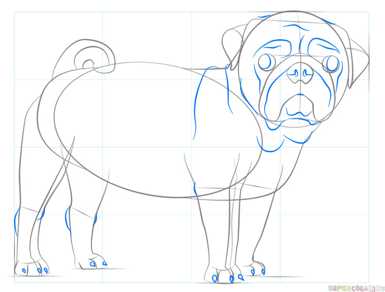 Step by Step Dog Drawing Easy How to Draw A Pug Dog Step by Step Drawing Tutorials for