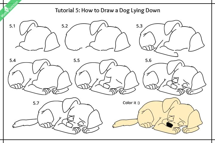 Step by Step Dog Drawing Easy Step by Step Guide On How to Draw A Dog for Kids Dog
