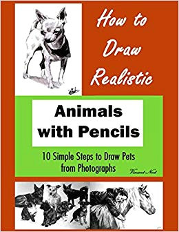 Step by Step Easy to Draw Animals How to Draw Animals 10 Simple Steps to Draw Pets From