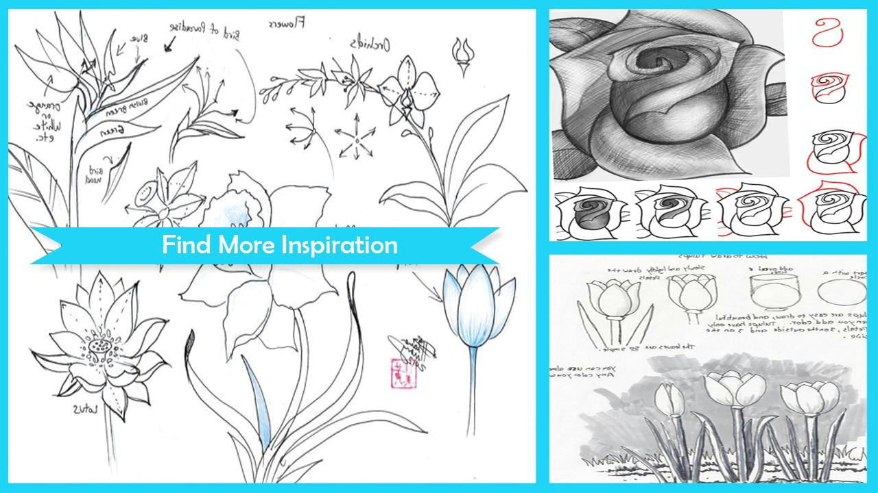 Step by Step Flower Drawing Easy Easy Step Drawing Flower Tutorial for android Apk Download