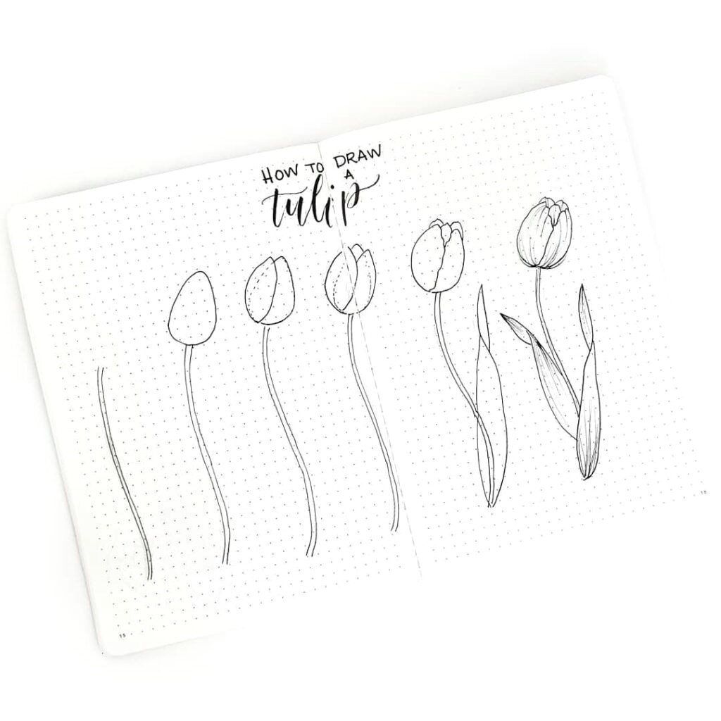 Step by Step Flower Drawing Easy Pin Auf Bujo