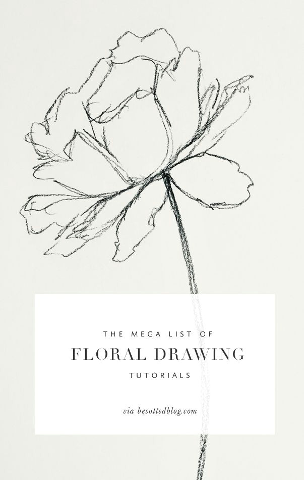 Step by Step Flower Drawing Easy the Mega List Of Floral Drawing Tutorials Besotted Drawing