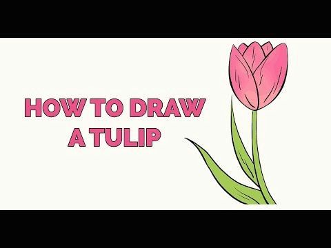 Step by Step Flower Drawing Easy Tulip Flower How to Draw A Tulip for Kids Easy Step by