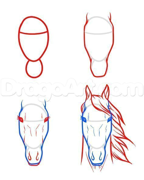 Step by Step Horse Drawing Easy Pin by Van Den On Zeichnen Horse Head Drawing Horse