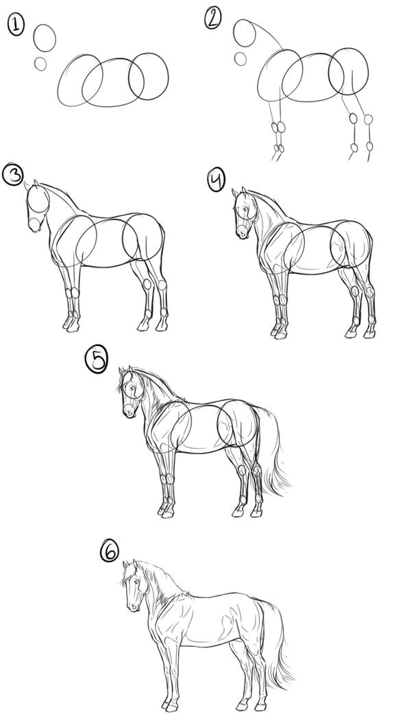 Step by Step Horse Drawing Easy Pin Od Poua A Vatea A Jarka Na Nastenke Omalovanky Kreslia