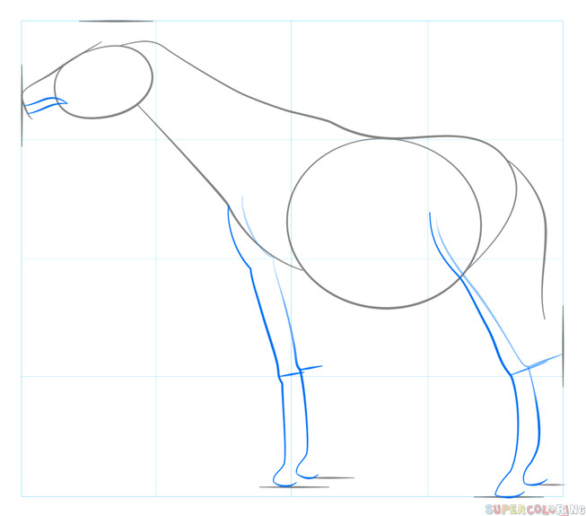 Step How to Draw Animals How to Draw An Okapi Step by Step Drawing Tutorials Step