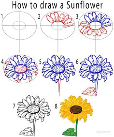 Sunflower Drawing Easy Step by Step 28 Best Flower Drawing Tutorial Images Flower Drawing