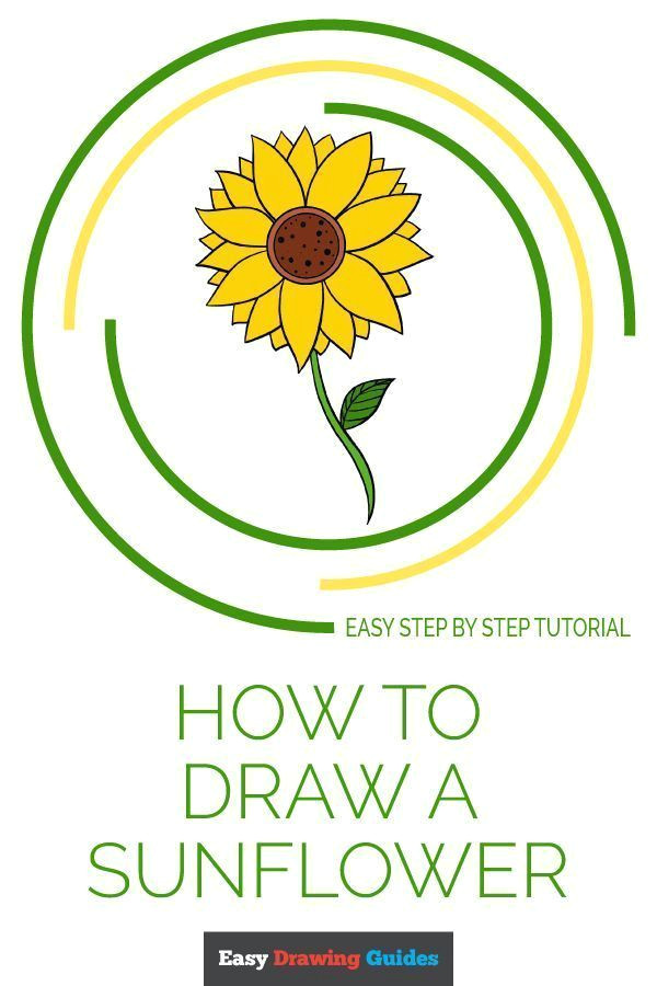 Sunflower Drawing Easy Step by Step How to Draw A Sunflower Really Easy Drawing Tutorial