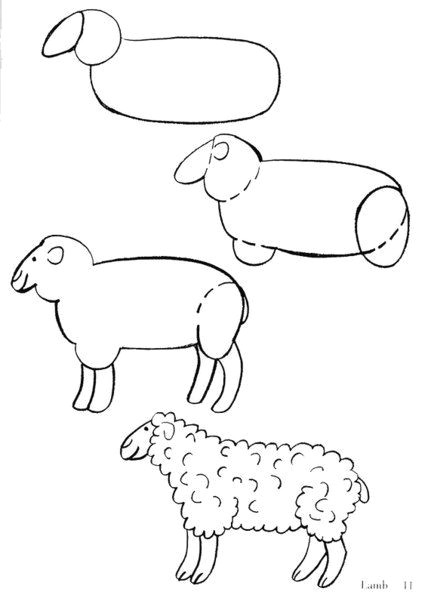 Teacher Drawing Easy Pin by Teacher4dreams Teacher Student Activities On Animal