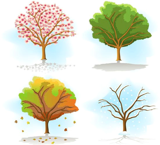 Trees that are Easy to Draw Four Seasons Tree Drawing Same Tree In Different Seasons