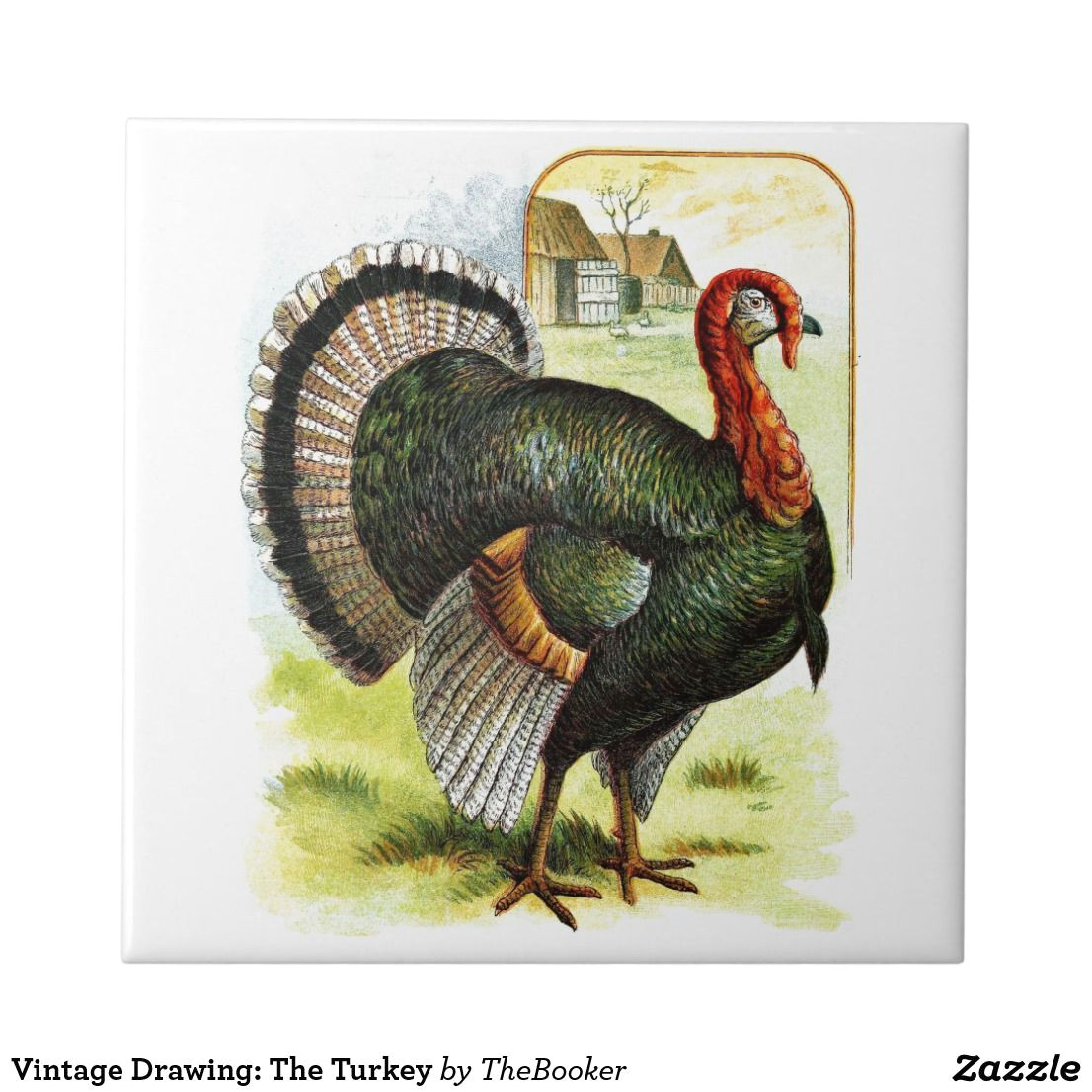 Turkey Animal Drawing Vintage Drawing the Turkey Ceramic Tile Zazzle Com