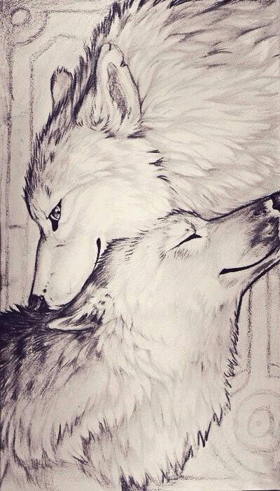 Two Animals Combined Drawing Art Drawings Wolf Tattoo Design
