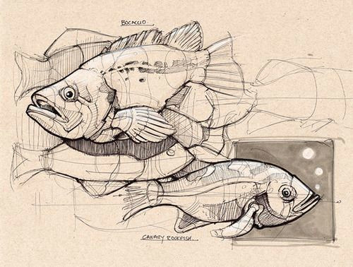 Two Animals Combined Drawing Die 316 Besten Bilder Von Zeichnungen Zeichnungen