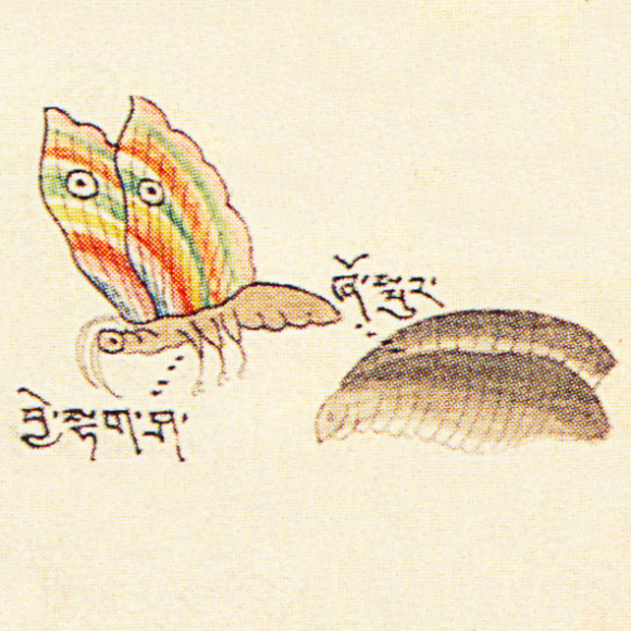 Two Animals Combined Drawing the Use Of Insects In Tibetan Medicine