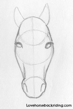 Unicorn Head Drawing Easy Designing Horse Pencil Drawings Finishing the Horse Head