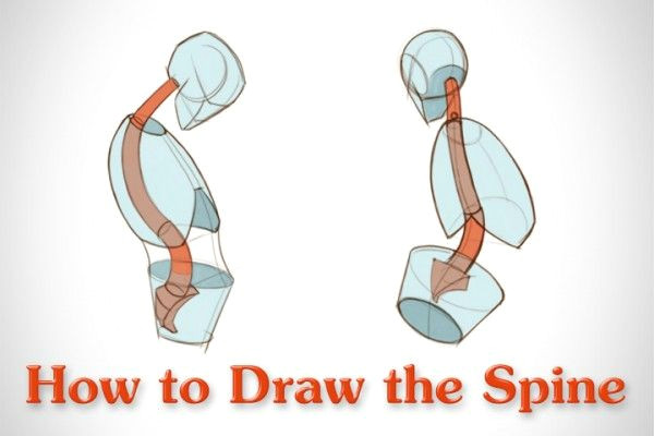 Video Drawing Animation How to Draw Videos Anatomie Und Zeichnen