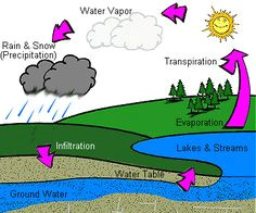 Water Cycle Drawing Easy 77 Best Water Water Cycle Images Water Cycle Teaching