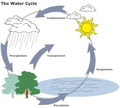 Water Cycle Drawing Easy 8 Best Water Cycle Diagram Images Water Cycle Teaching