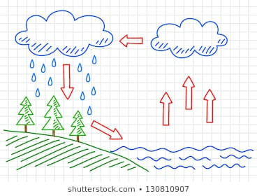 Water Cycle Drawing Easy Vectores Imagenes Y Arte Vectorial De Stock sobre