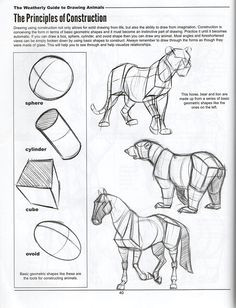 Weatherly Guide to Drawing Animals Pdf 192 Best Animals Horse Images Animal Drawings Horse