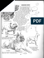 Weatherly Guide to Drawing Animals Pdf Anatomy Drawing School Animal