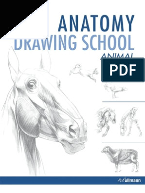 Weatherly Guide to Drawing Animals Pdf Anatomy Drawing School Animal